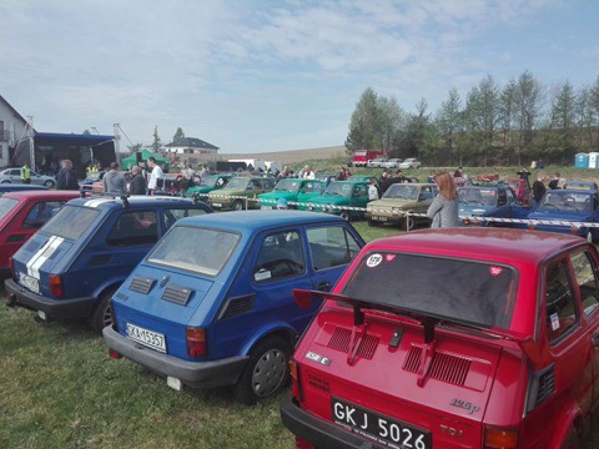 Zdjęcie