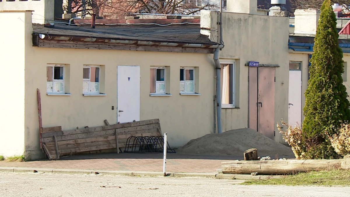 Zdjęcie