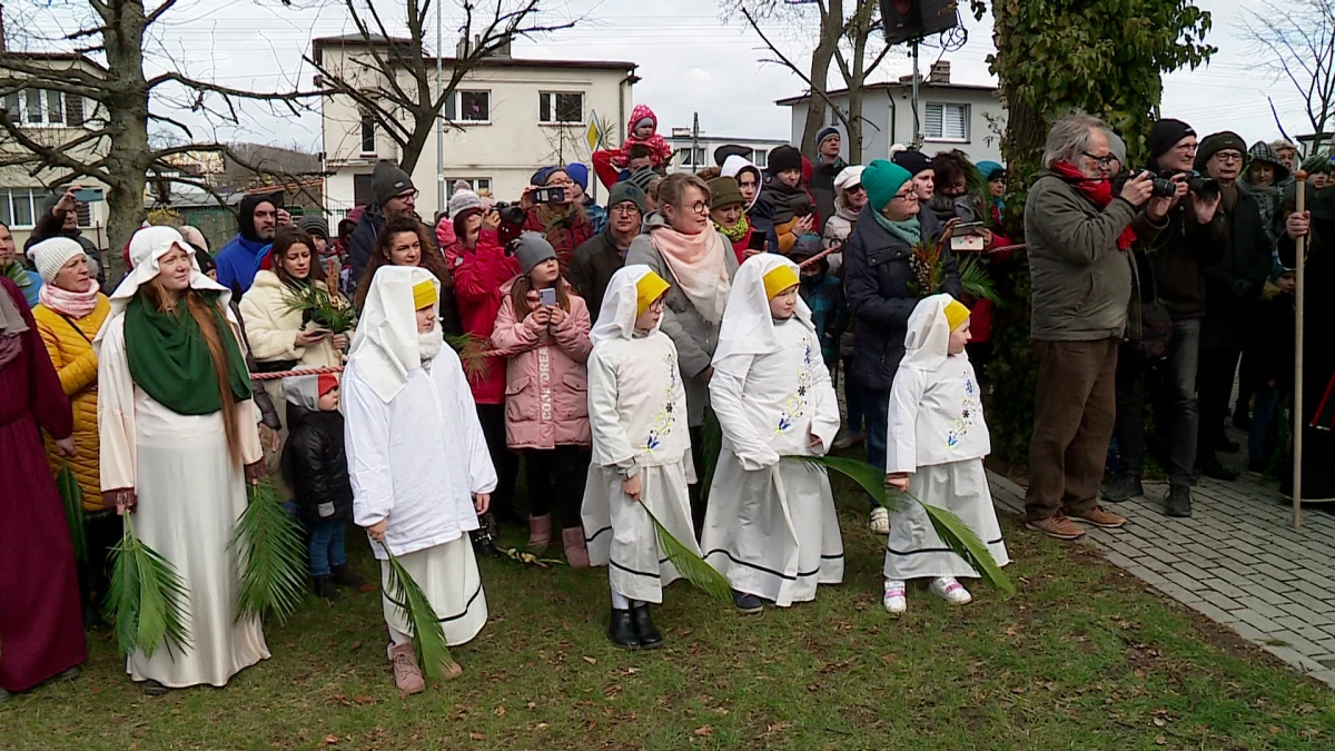 Zdjęcie
