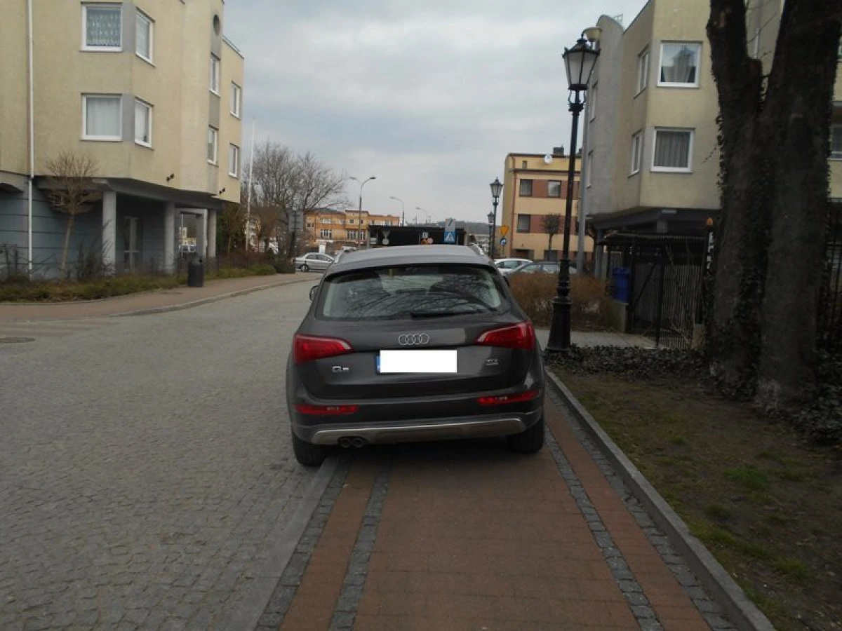 Zdjęcie