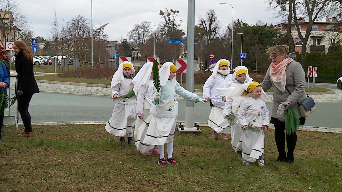 Zdjęcie