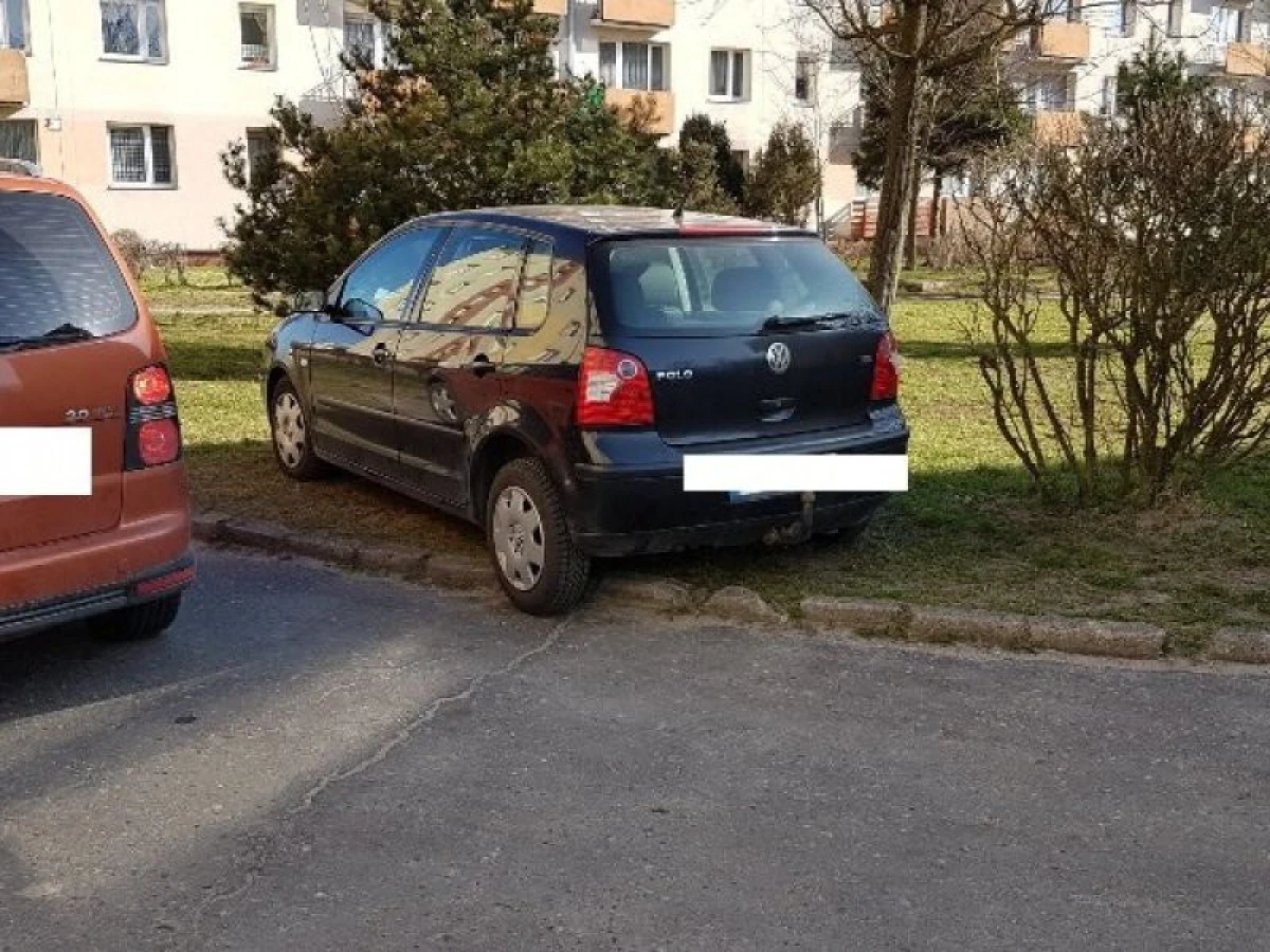 Zdjęcie