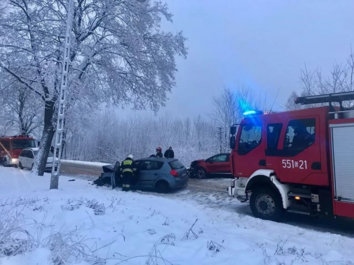 Zdjęcie