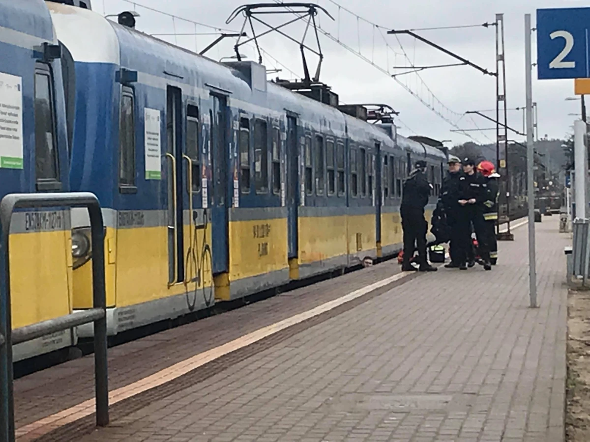 Zdjęcie