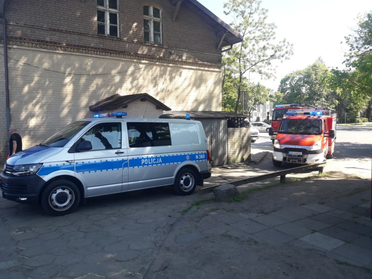 Zdjęcie