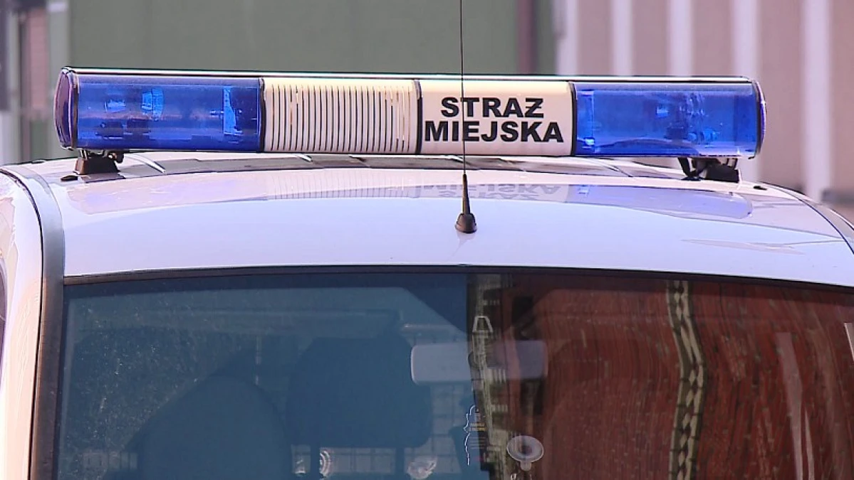 Zdjęcie