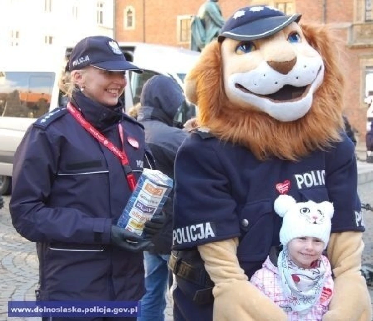 Zdjęcie