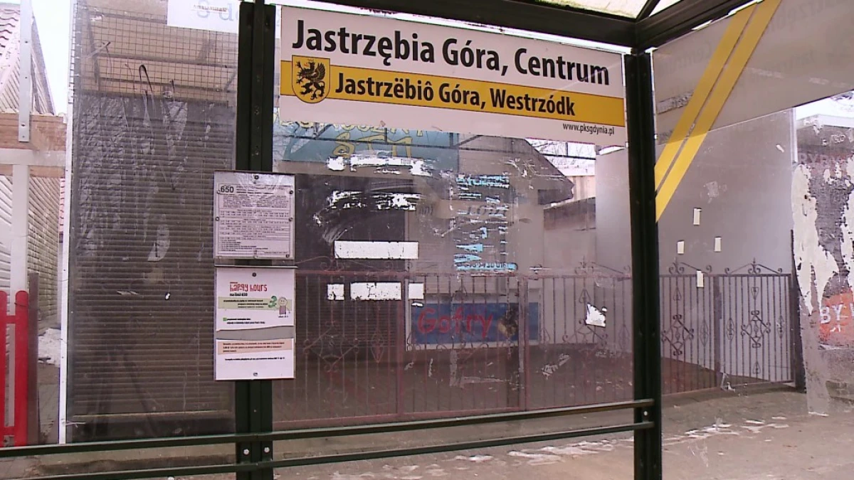 Zdjęcie
