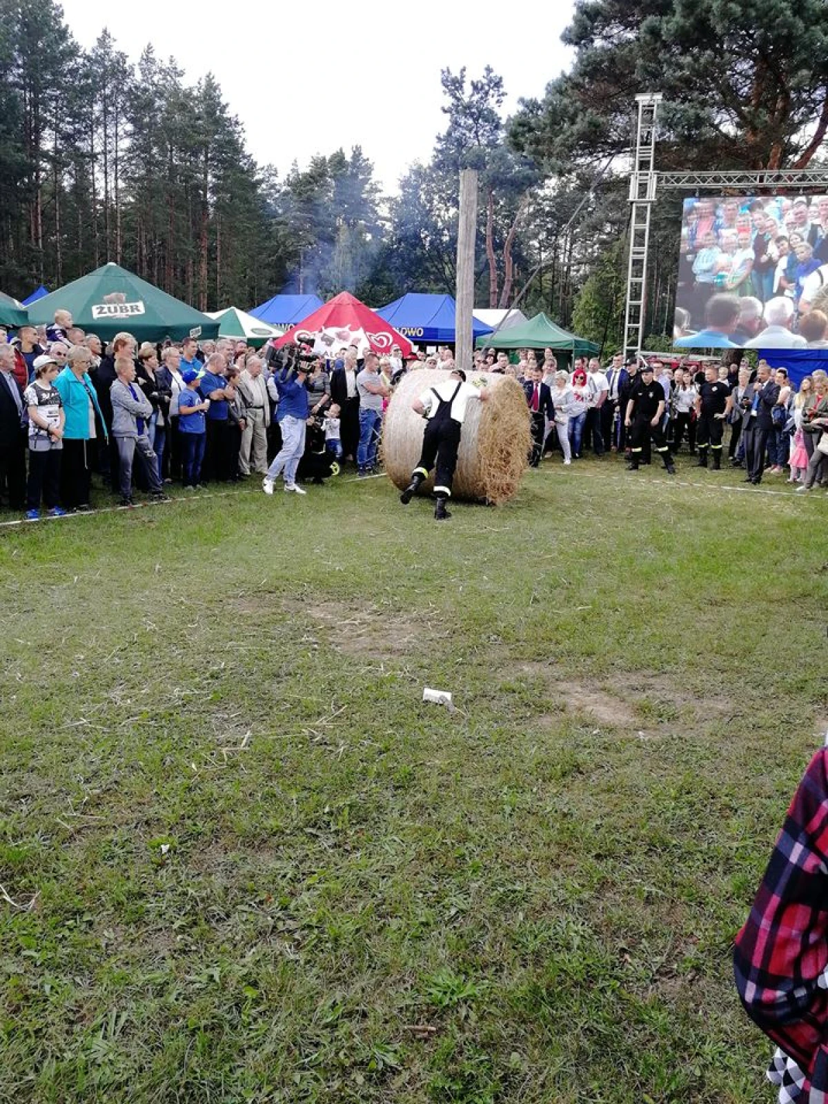 Zdjęcie