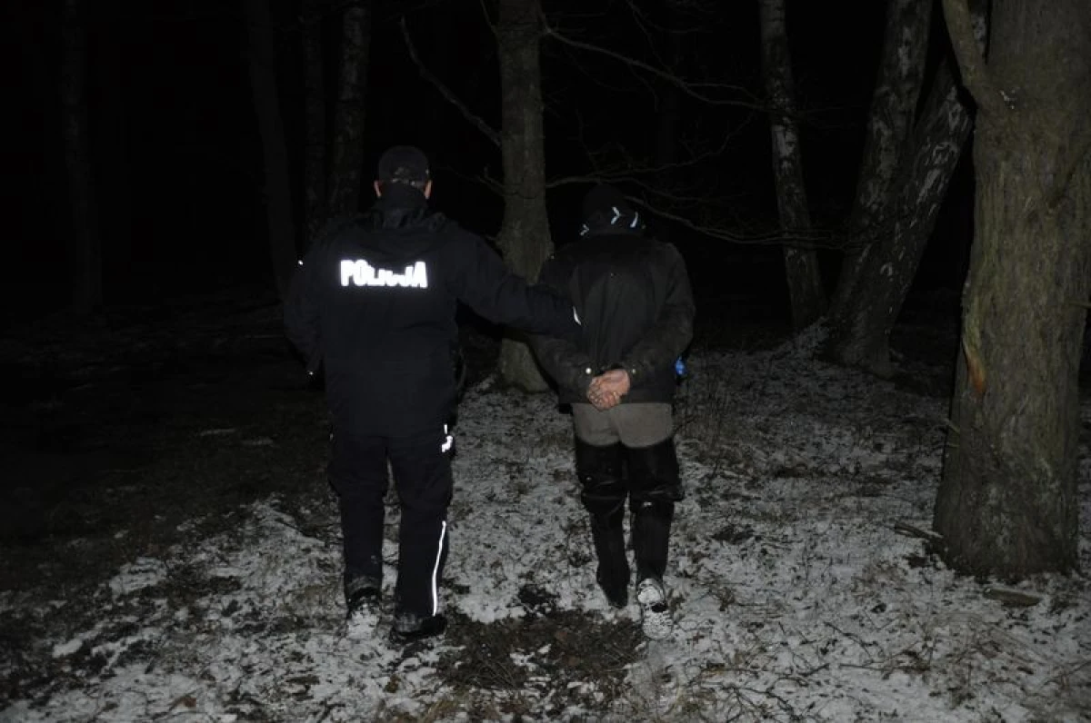 Zdjęcie