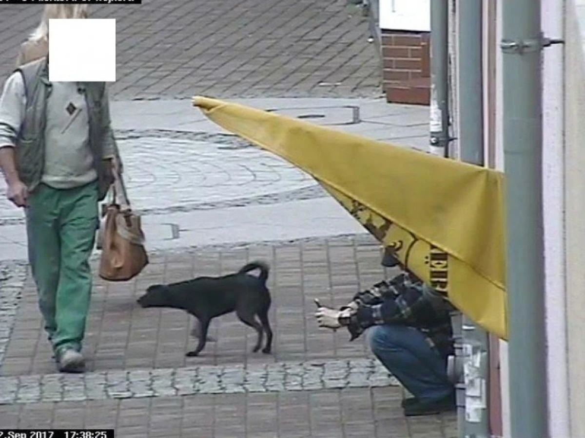 Zdjęcie