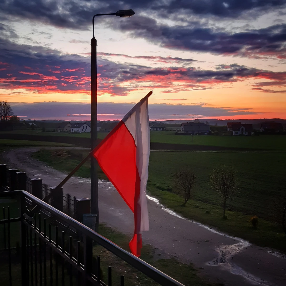 Zdjęcie