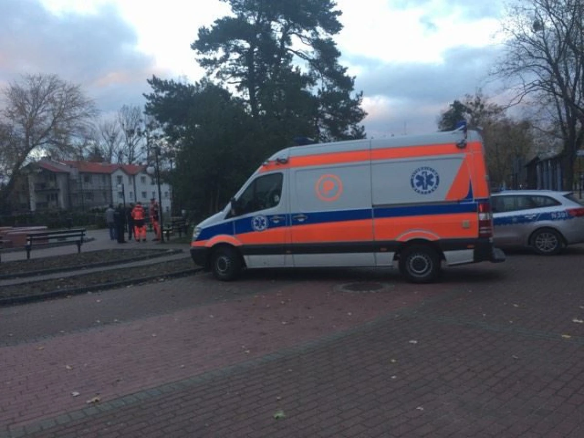 Zdjęcie