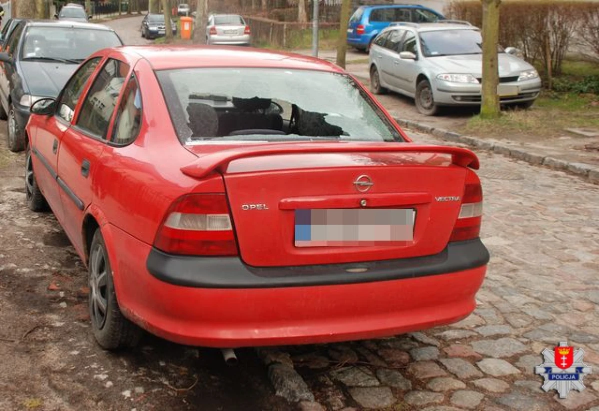 Zdjęcie