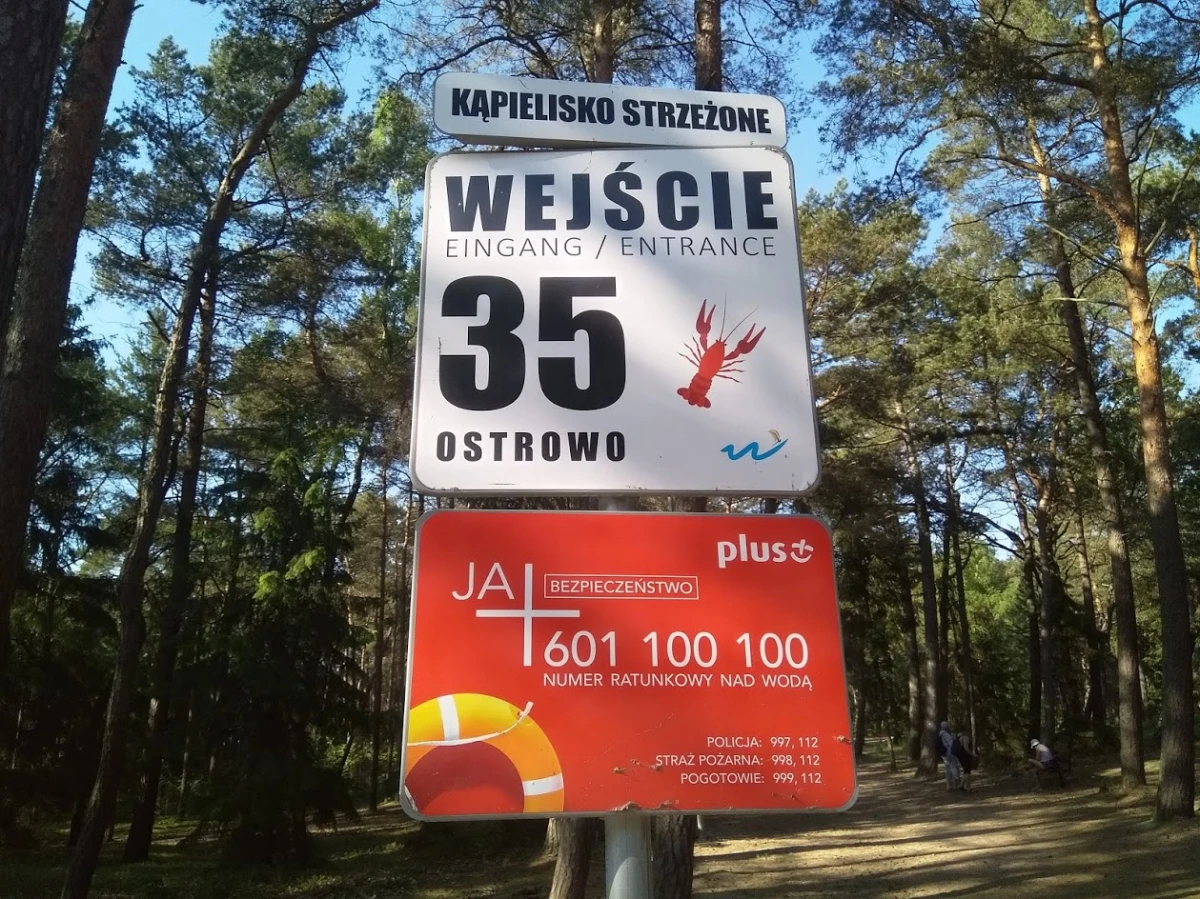 Zdjęcie