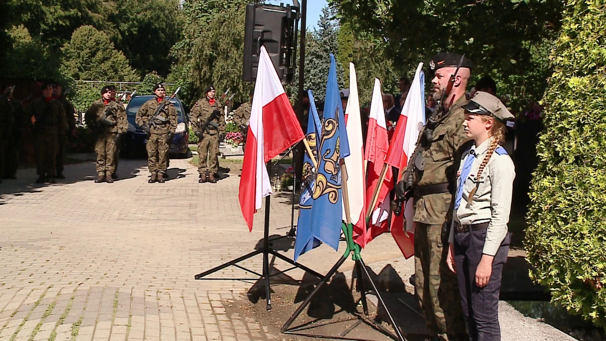 Zdjęcie