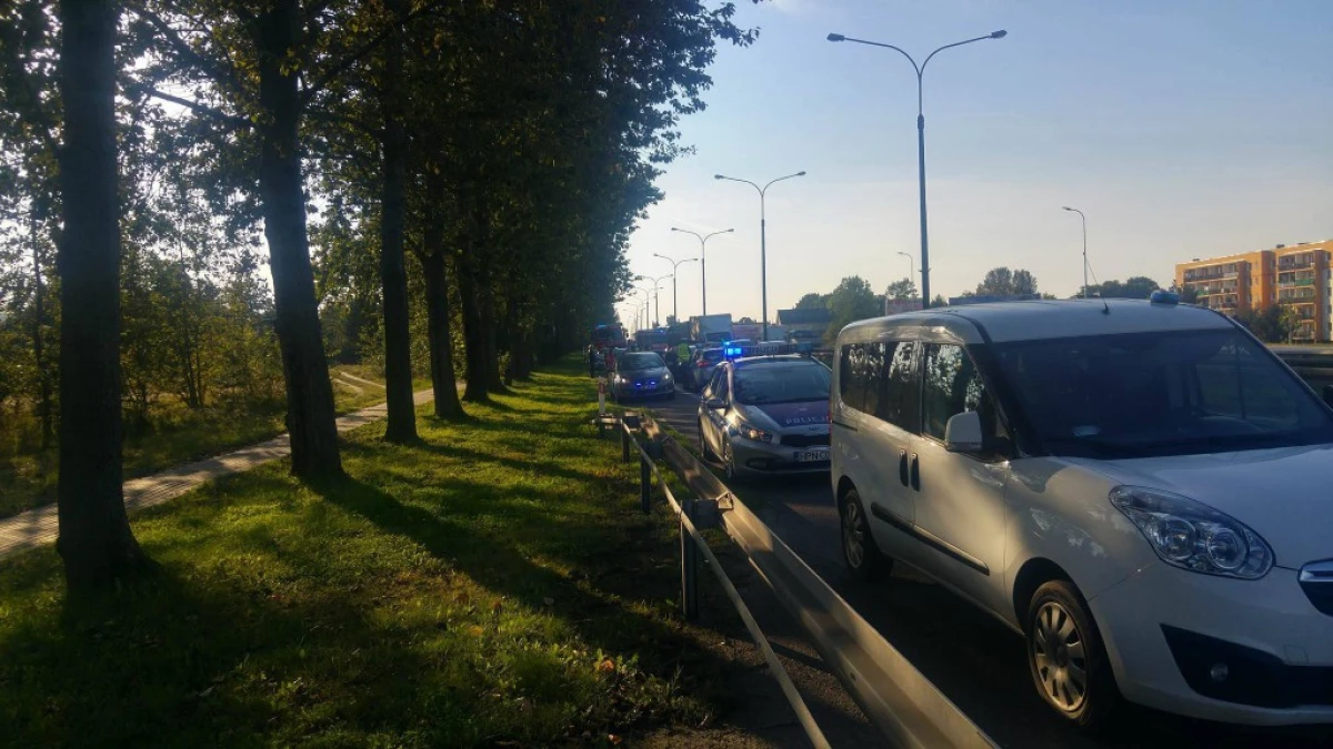 Zdjęcie