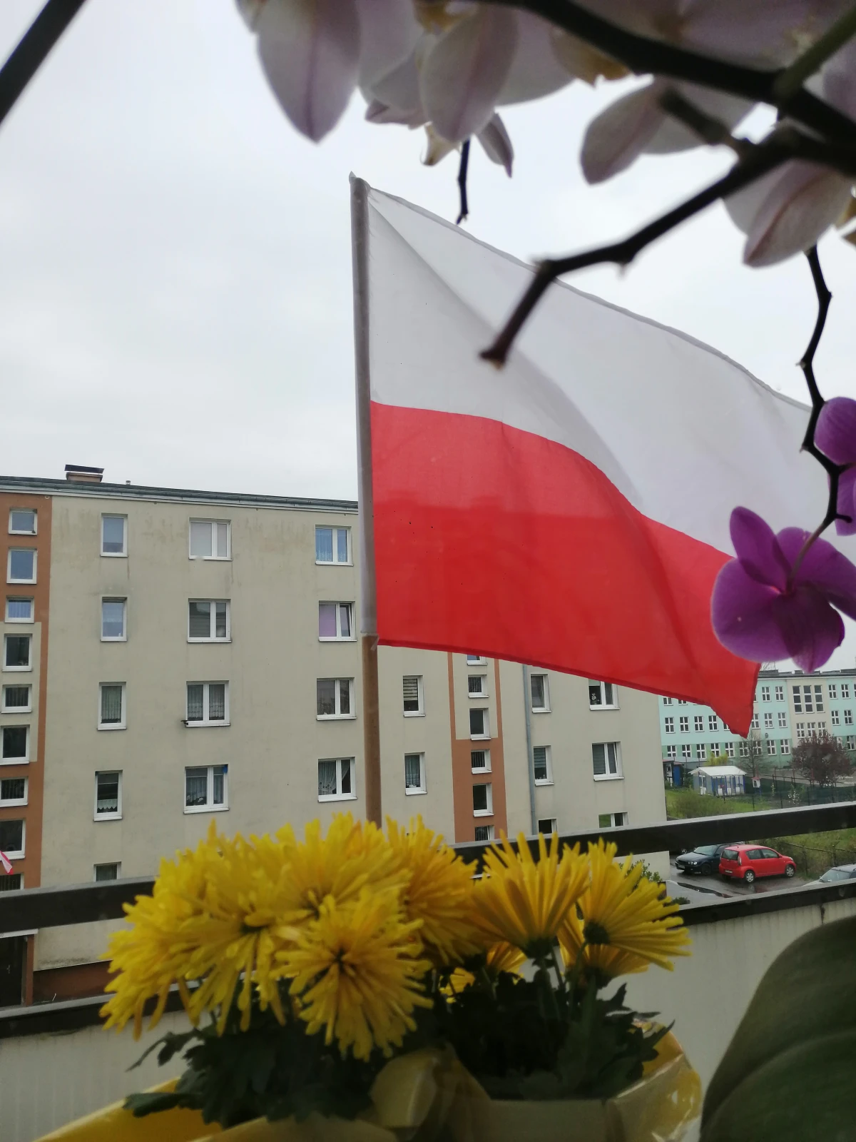 Zdjęcie