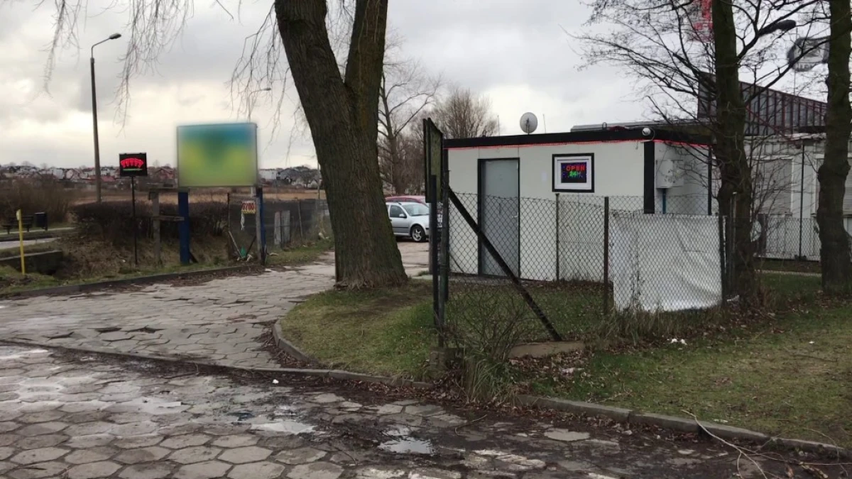 Zdjęcie
