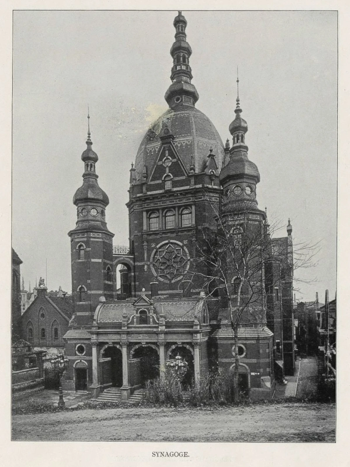Zdjęcie