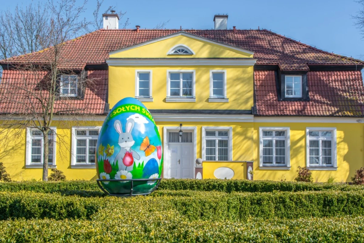 Zdjęcie