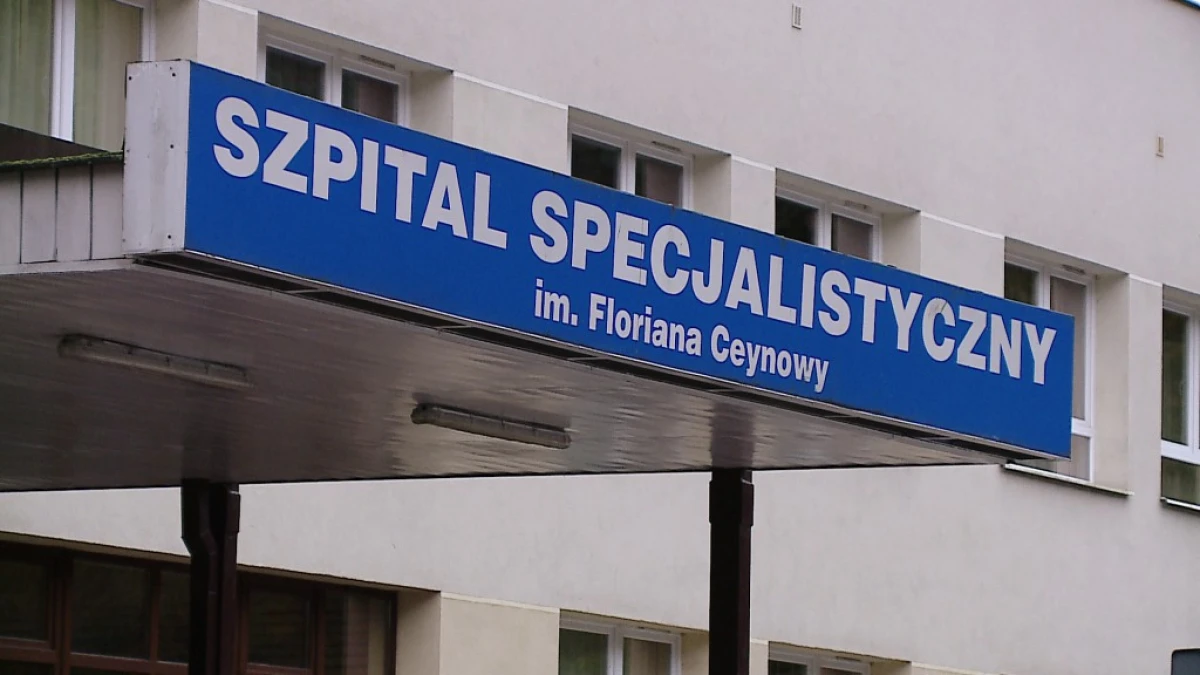 Zdjęcie