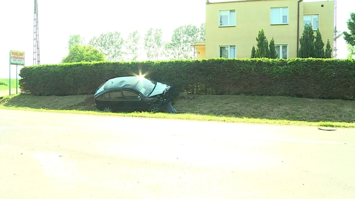 Zdjęcie