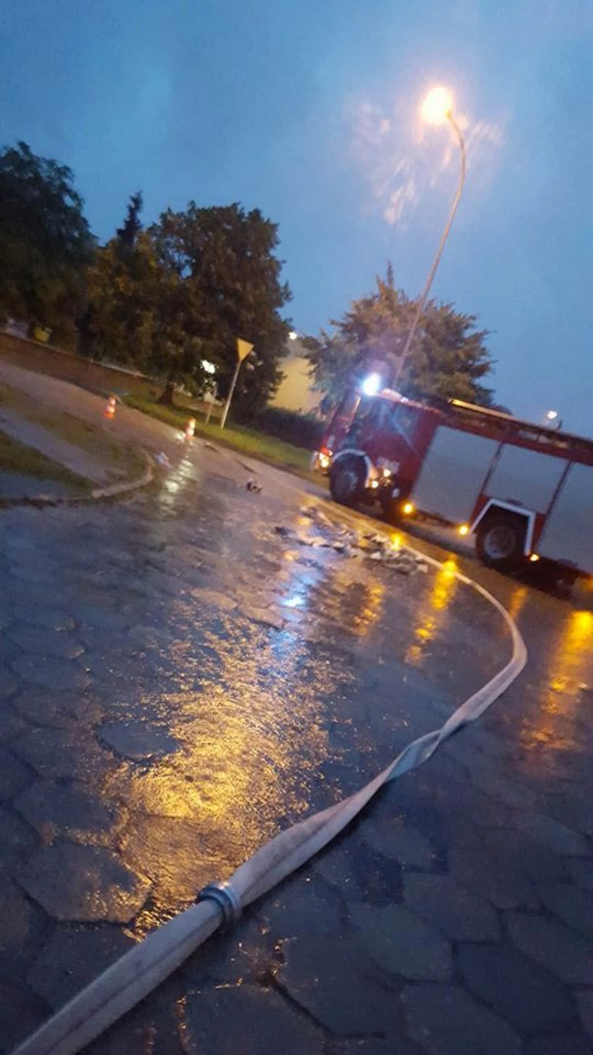 Zdjęcie