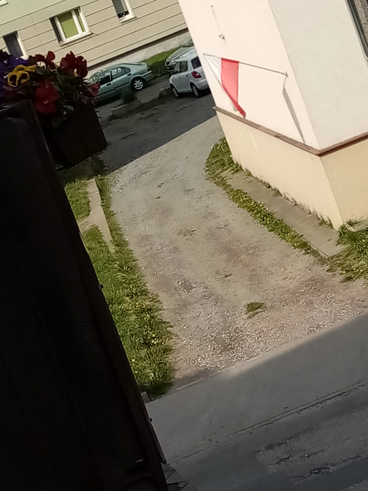 Zdjęcie