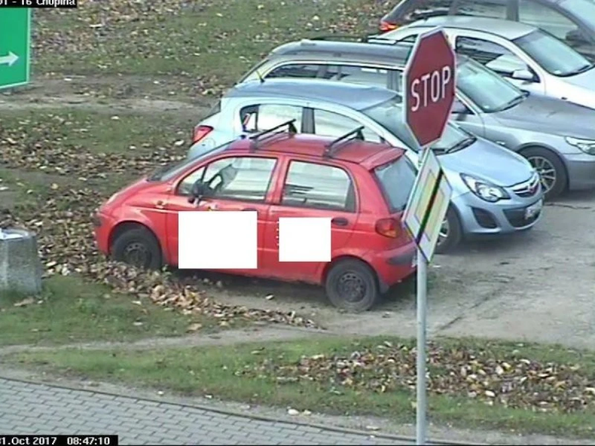 Zdjęcie