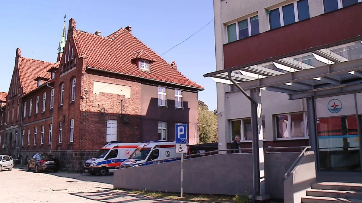 Zdjęcie