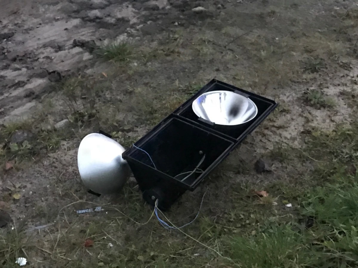 Zdjęcie