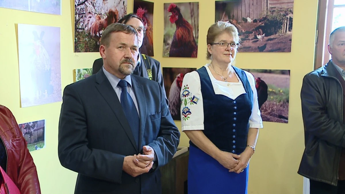 Zdjęcie