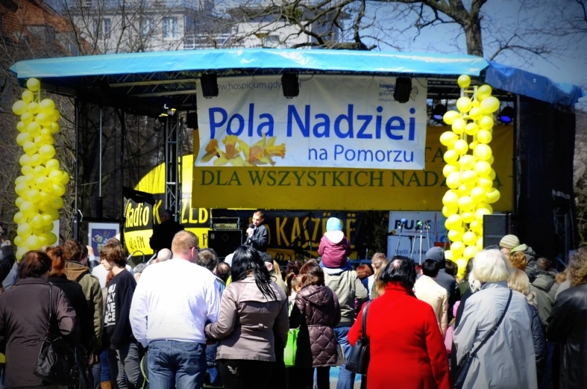 Zdjęcie