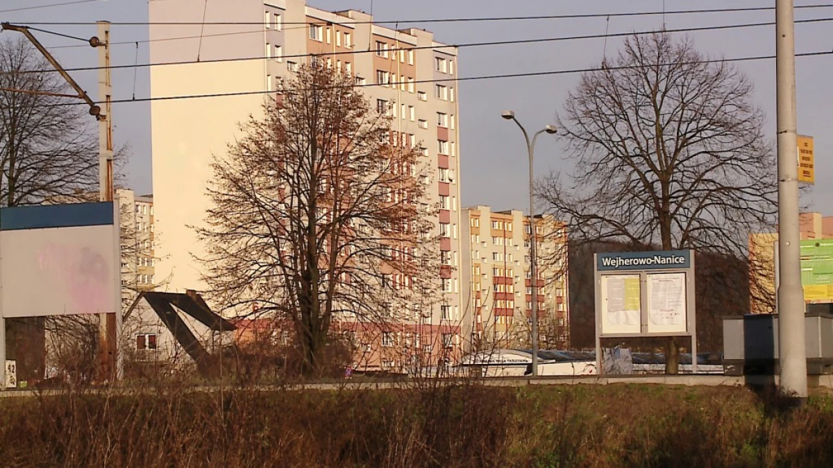 Zdjęcie