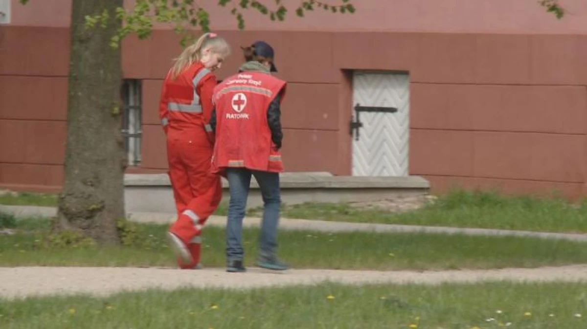 Zdjęcie