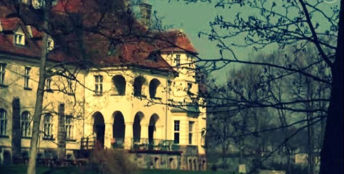 Zdjęcie