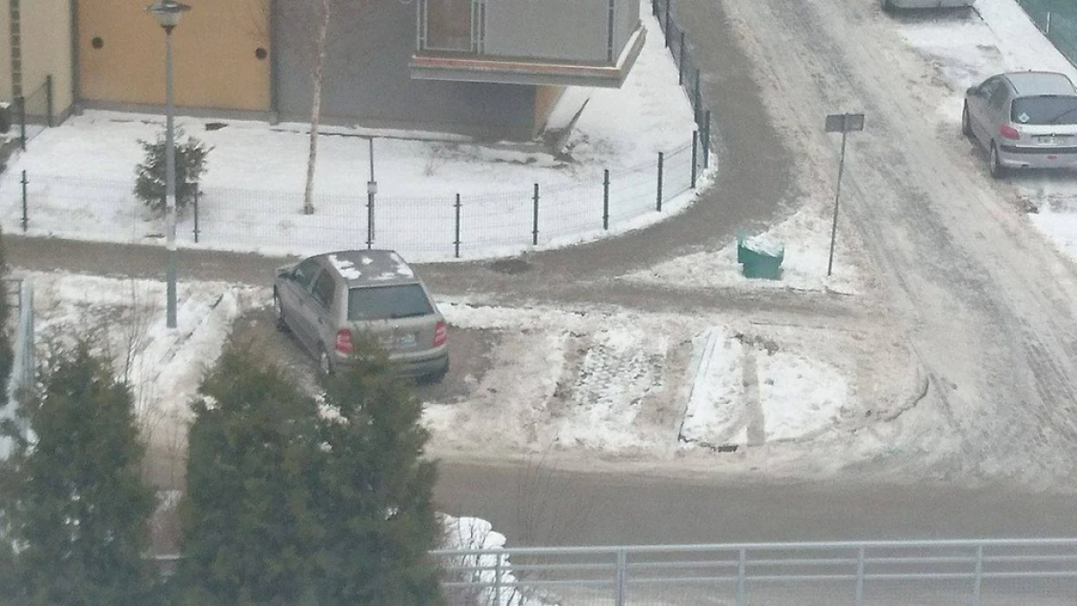 Zdjęcie