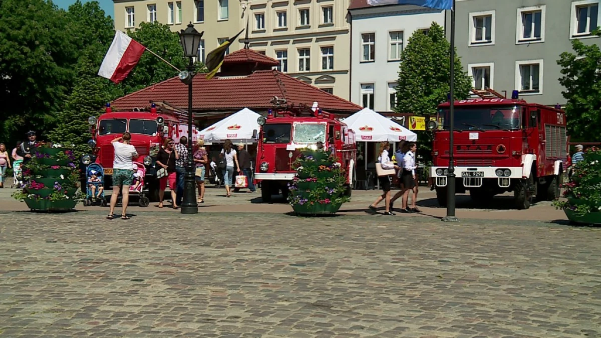 Zdjęcie