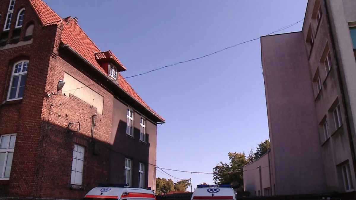 Zdjęcie
