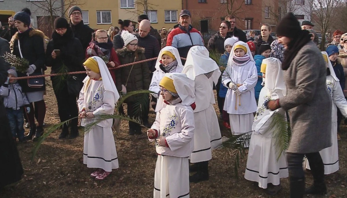 Zdjęcie