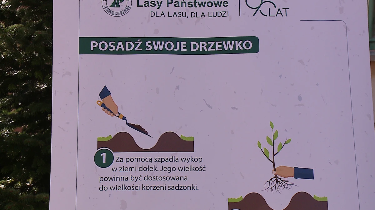 Zdjęcie