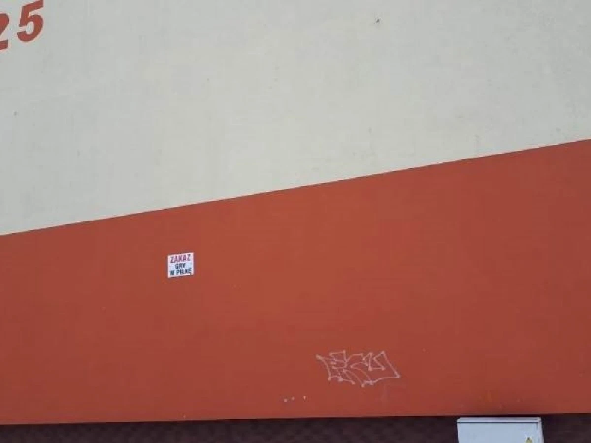 Zdjęcie
