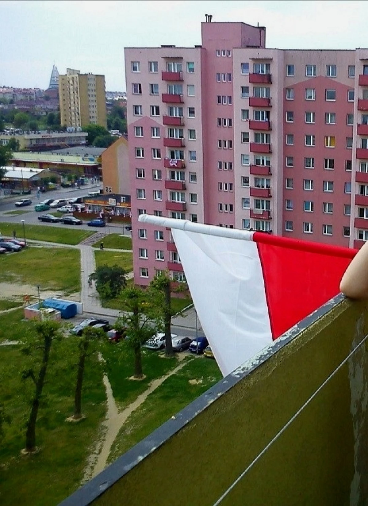 Zdjęcie