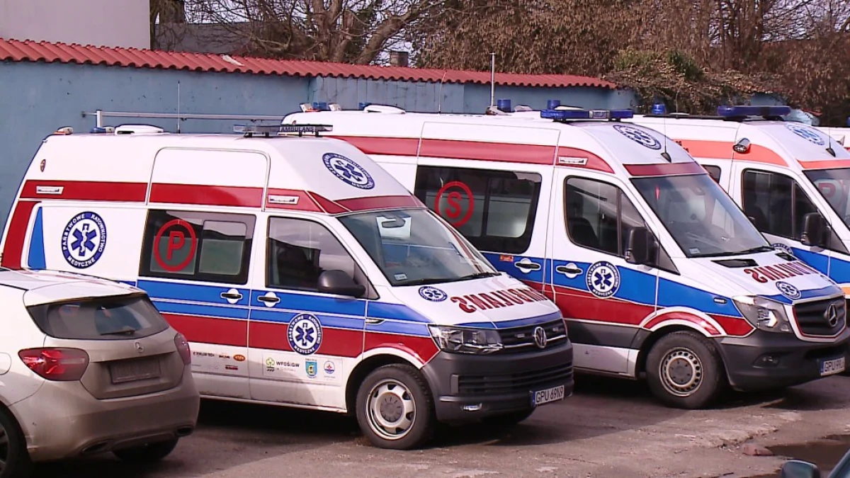 Zdjęcie