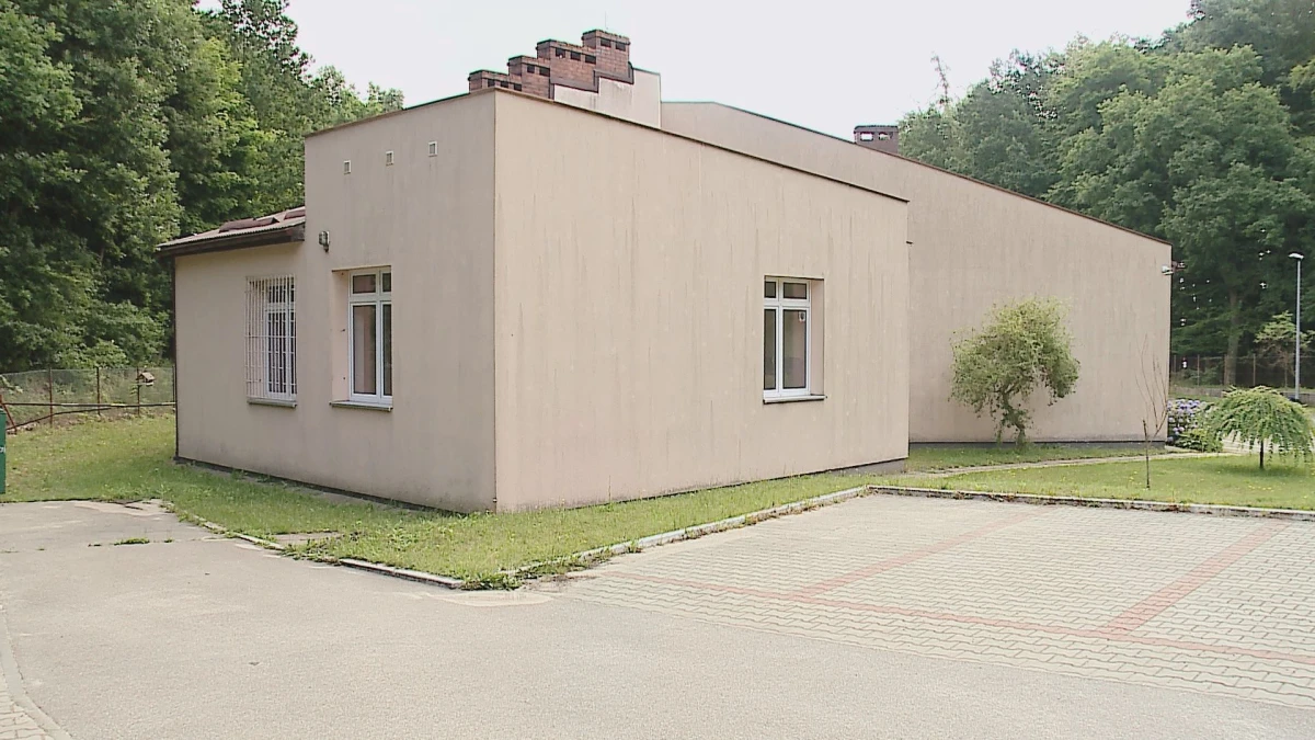 Zdjęcie