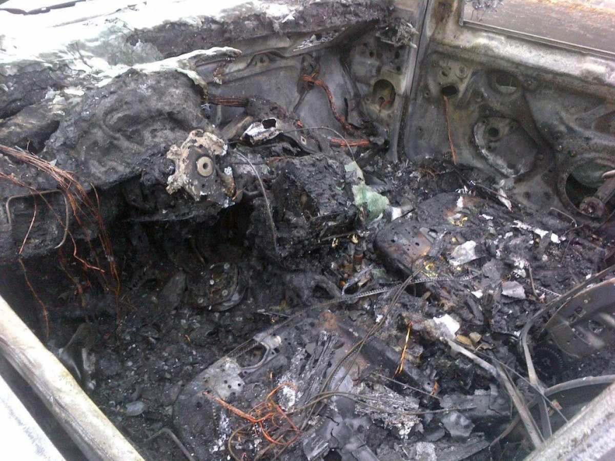 Zdjęcie