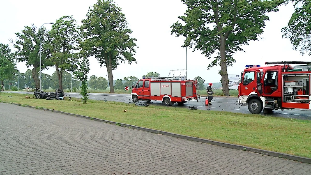 Zdjęcie