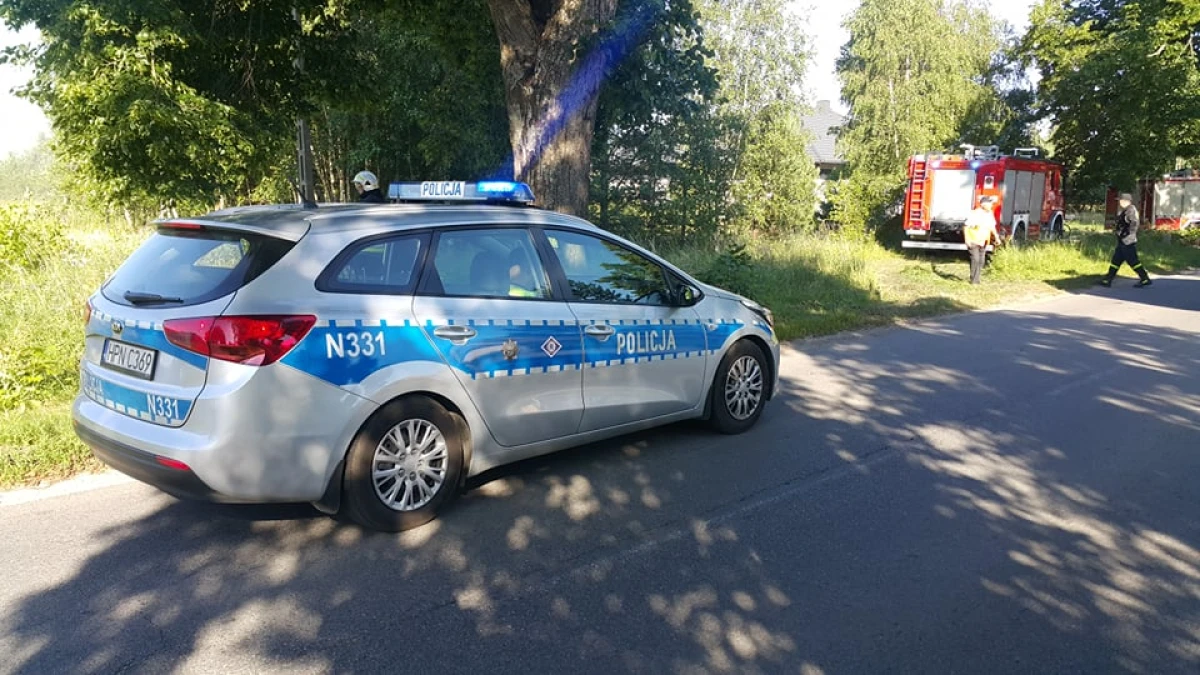 Zdjęcie