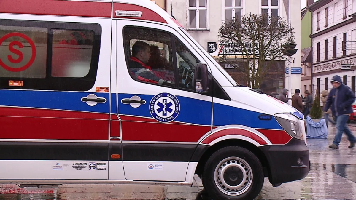 Zdjęcie